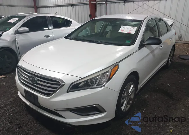 5NPE24AF5GH331468: 44593739