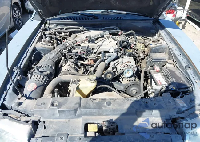 1FAFP4040XF187852: 44593831