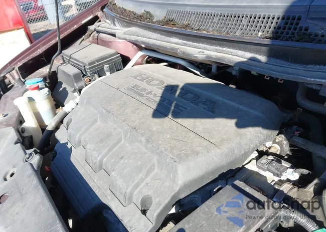 5FNRL5H6XDB007596: 44593383