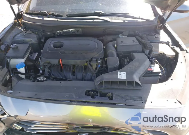 5NPE24AFXKH780802: 44595069