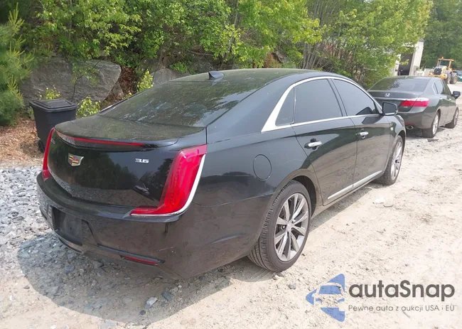 2G61U5S36J9148824: 44594138