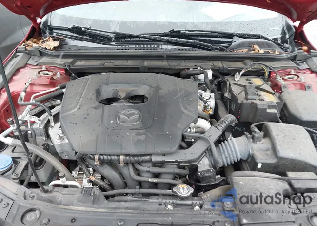 JM1BPAKM1R1711921: 44595593