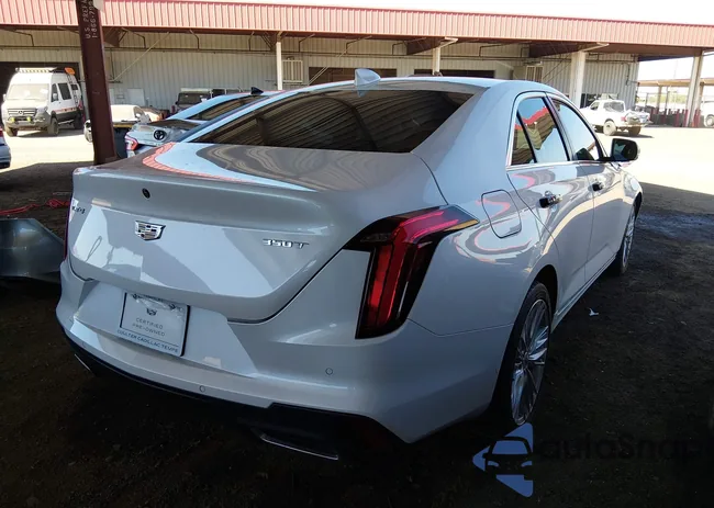 1G6DB5RK1P0118648: 44595377