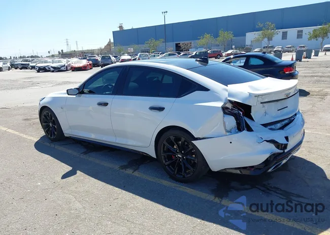 1G6DP5RK5N0115606: 44596484