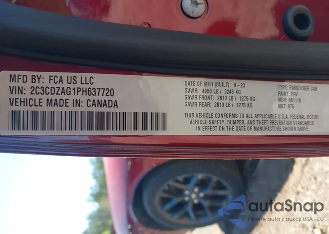 2C3CDZAG1PH637720: 44596706