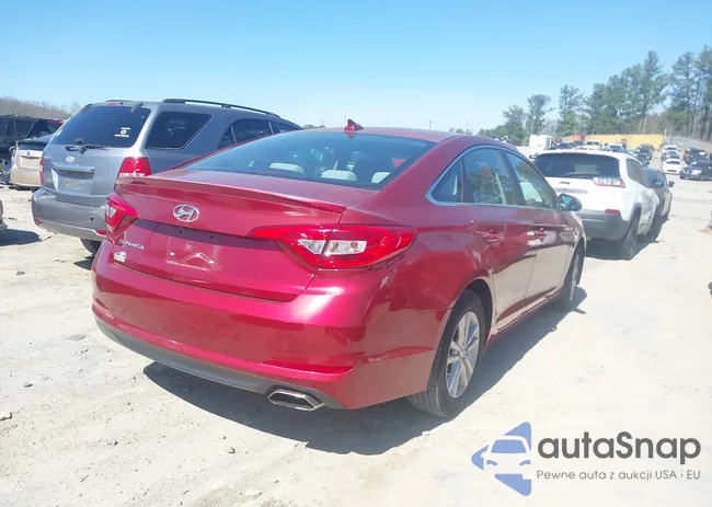 5NPE24AF2GH331900: 44596113