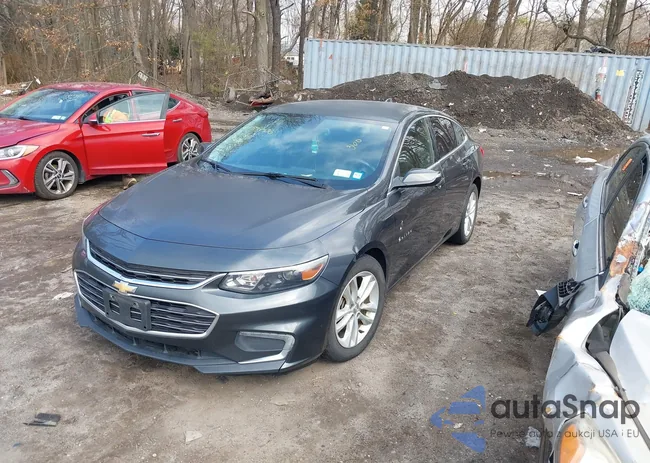 1G1ZE5ST3GF237806: 44597530