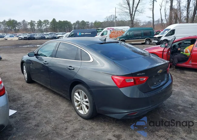 1G1ZE5ST3GF237806: 44597530