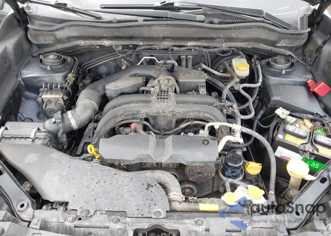 JF2SJAEC0HG567912: 44597724