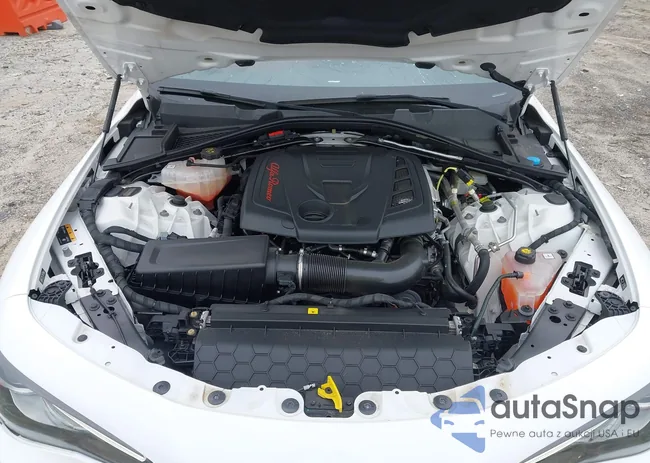 ZARFAMAN1L7635156: 44600813