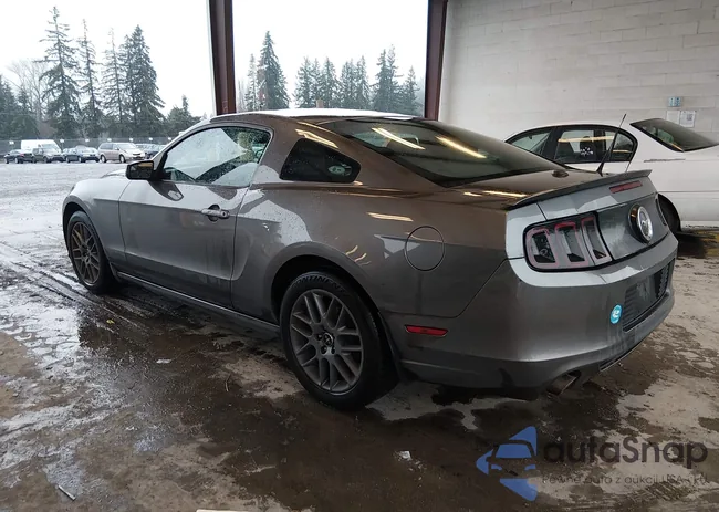 1ZVBP8AM5D5255558: 44602633