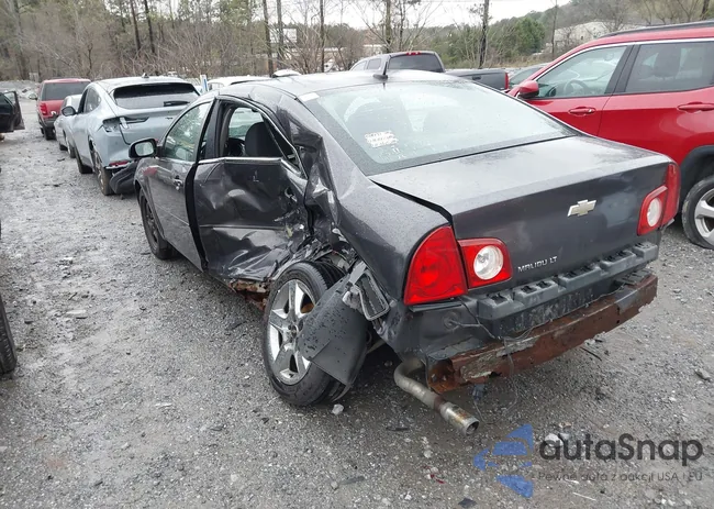 1G1ZC5EB6A4109426: 44603519