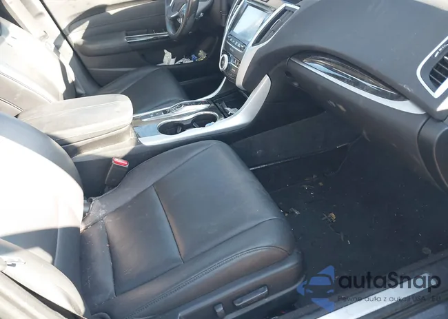 19UUB2F36KA004772: 44603574