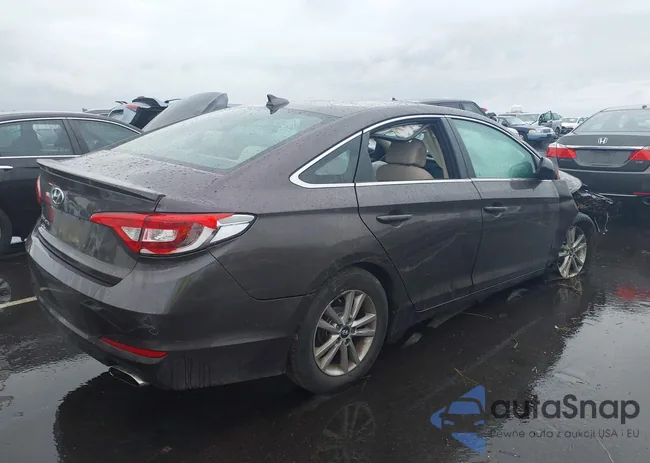 5NPE24AF2HH499392: 44603886