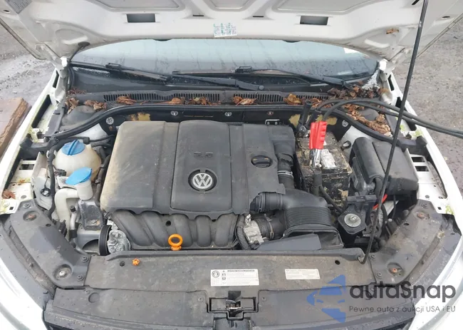 3VWBP7AJ8DM248999: 44603947