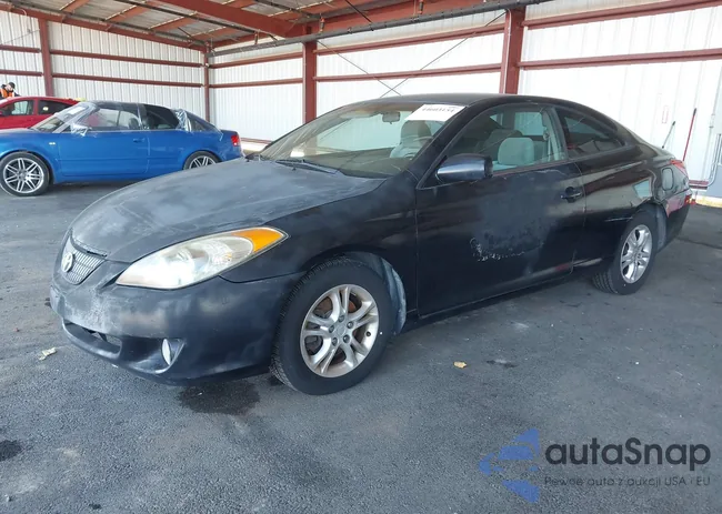 4T1CE38P55U534978: 44603154