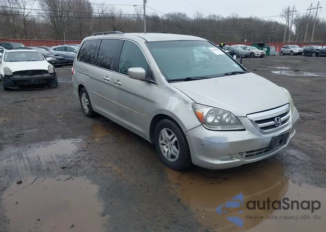 5FNRL38446B056508: 44604929