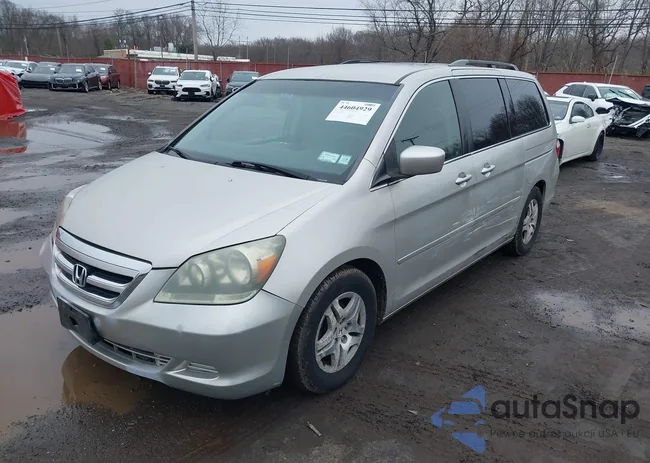 5FNRL38446B056508: 44604929