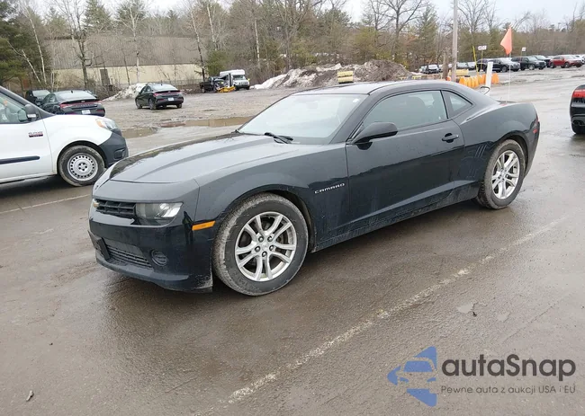 2G1FB1E34F9210041: 44604328