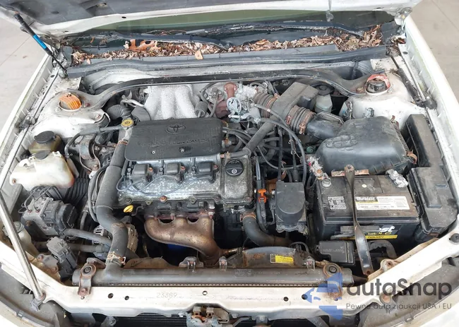 2T1CF22P13C608878: 44604427