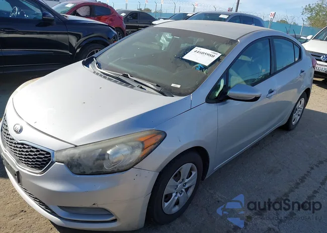 KNAFK4A63F5395119: 44605980