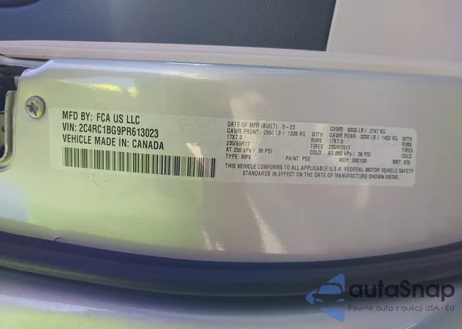 2C4RC1BG9PR613023: 44605315