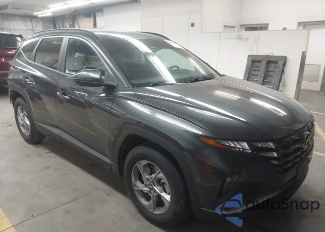 5NMJB3AE9PH290596: 44607013