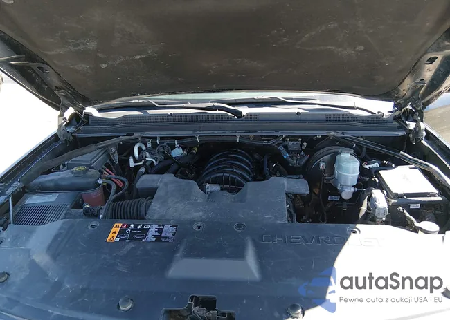 1GNSKDEC5LR172819: 44606079