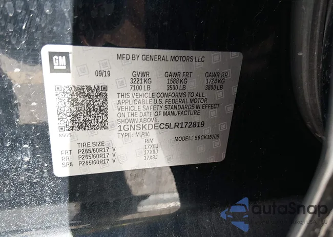 1GNSKDEC5LR172819: 44606079