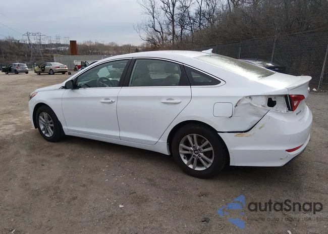 5NPE24AF5FH141958: 44608718