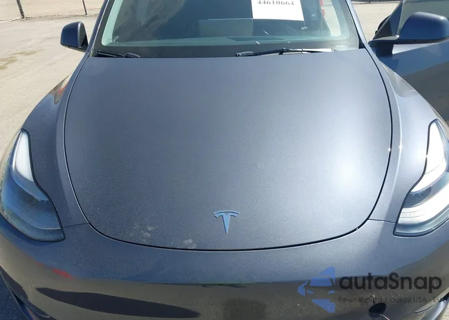 7SAYGDEE4PA202135: 44610664