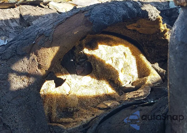 3VWEF71K97M056732: 44611018