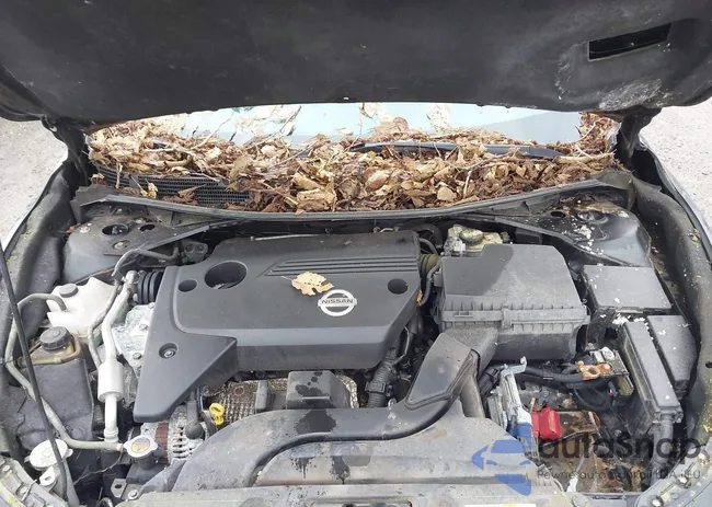 1N4AL3AP5FC236195: 44613503