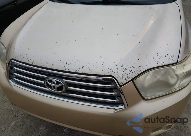 JTEES42A882039816: 44613273