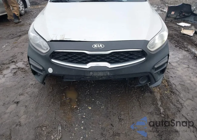 3KPF54AD7LE172137: 44614853