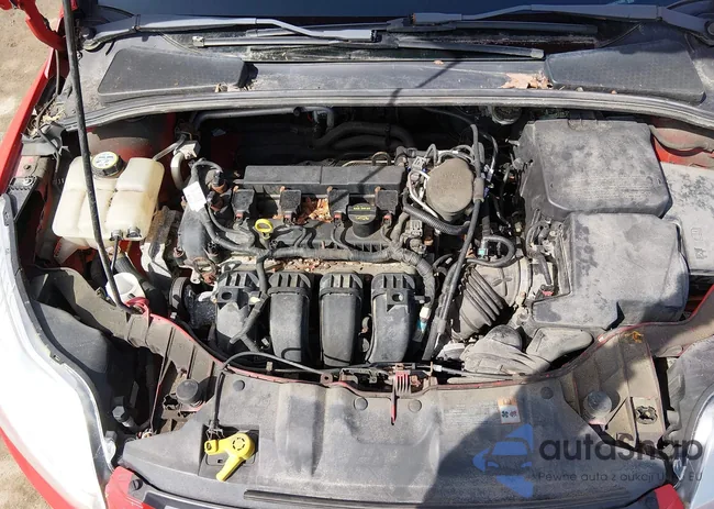 1FADP3F24DL215995: 44615479