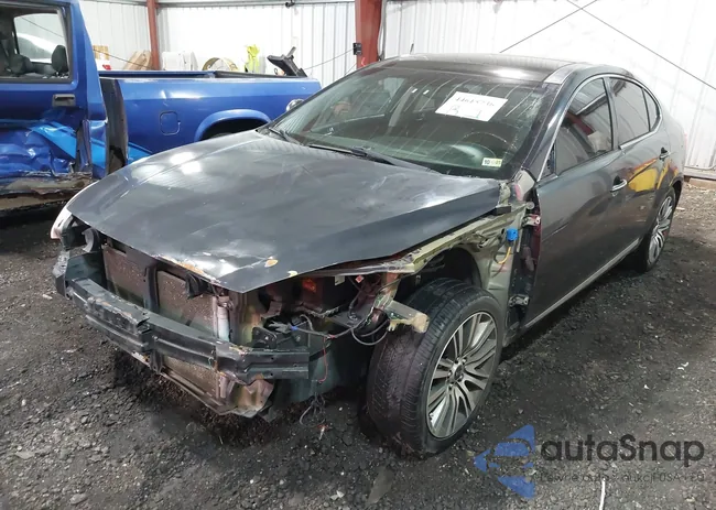 KNALN4D76F5196838: 44615736