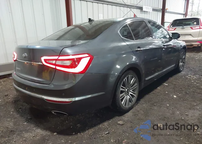 KNALN4D76F5196838: 44615736