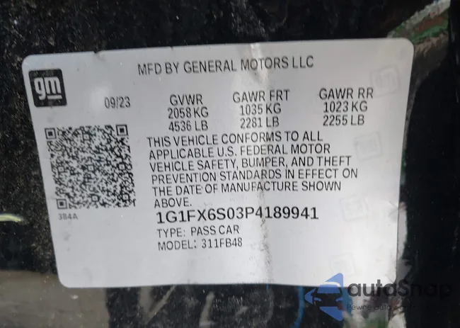 1G1FX6S03P4189941: 44619672
