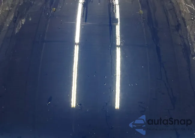 1G1PJ5SC4C7186565: 44619801