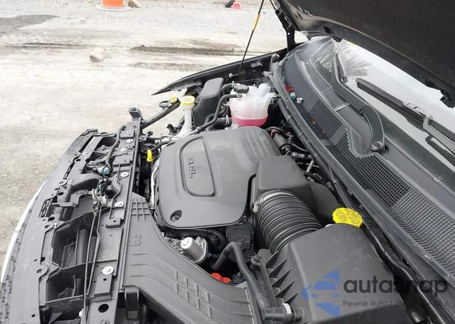 2C4RC1GG4TR196185: 44619357