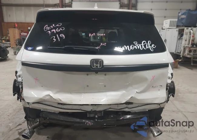 5FNYF8H5XMB031635: 44620711