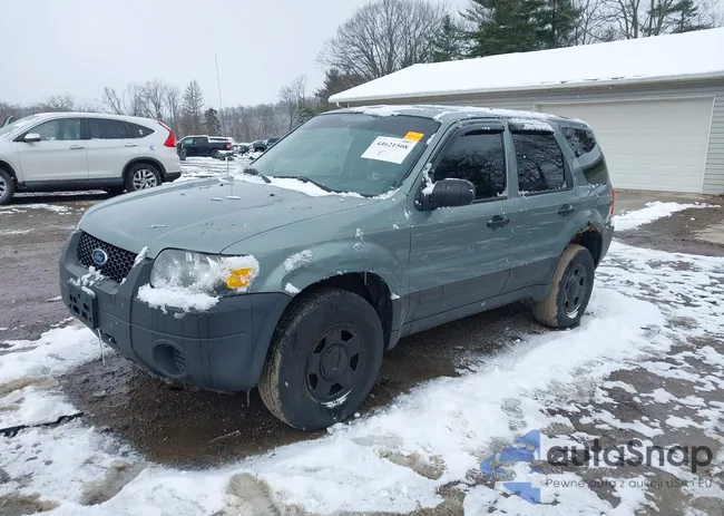 1FMYU92Z85KD54220: 44621508