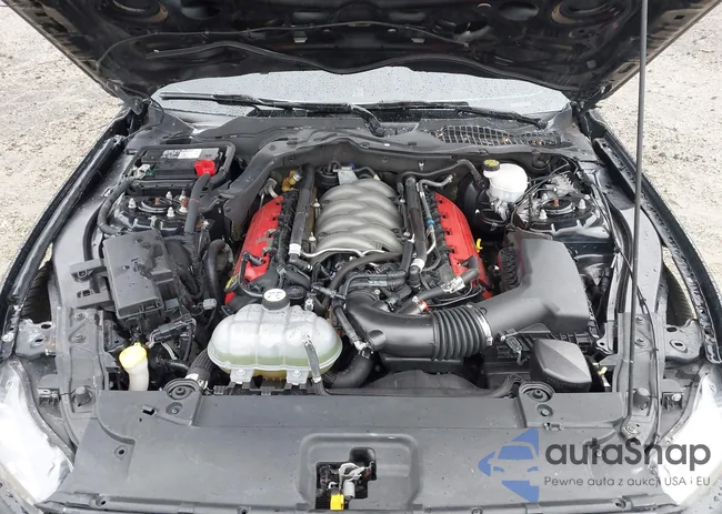 1FA6P8CF1F5344796: 44621856