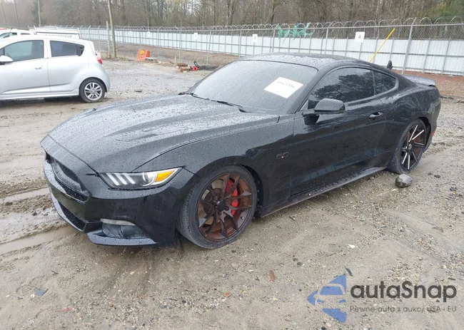 1FA6P8CF1F5344796: 44621856