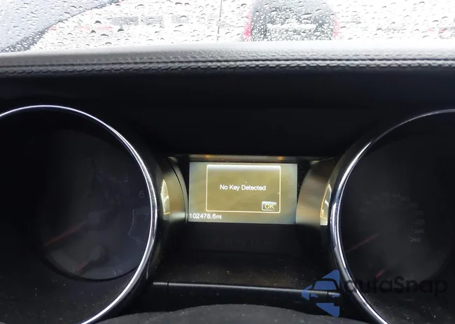 1FA6P8CF1F5344796: 44621856