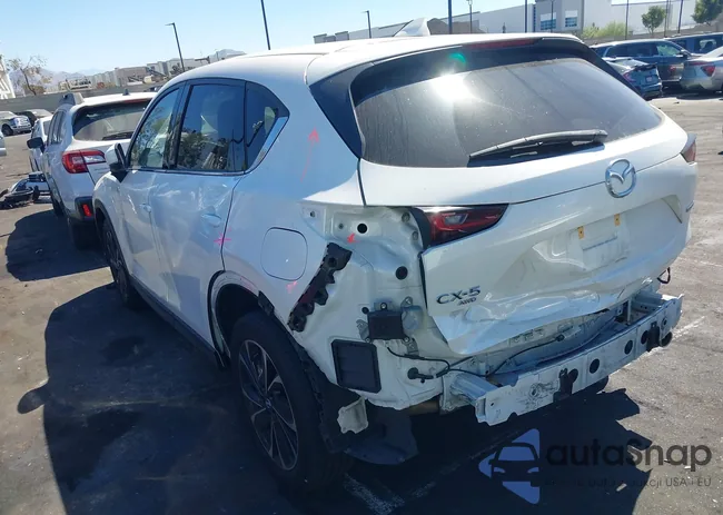 JM3KFBEM7N1609254: 44622905