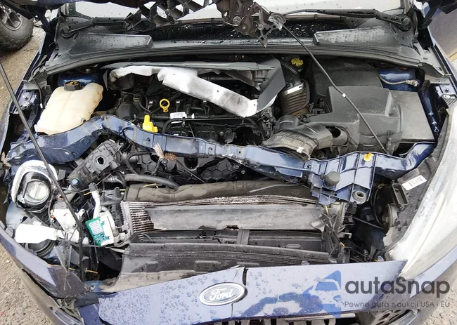 1FADP3L96HL206528: 44624013