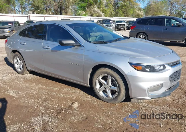 1G1ZB5STXJF187325: 44626370