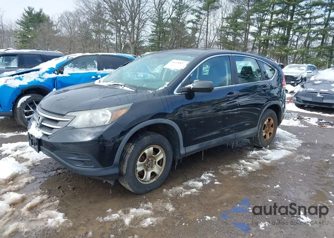 2HKRM4H30DH631731: 44628537